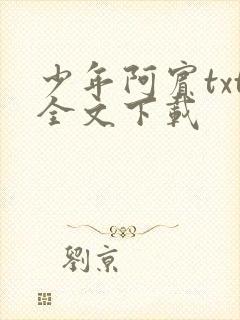少年阿宾txt全文下载