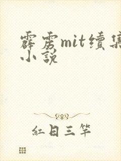 霹雳mit续集小说