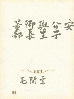 董卿与公安部副部长生子