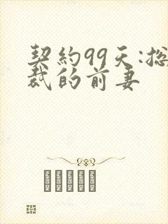 契约99天:总裁的前妻