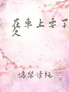 在车上要了我很久