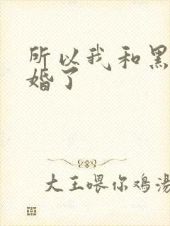 所以我和黑粉结婚了
