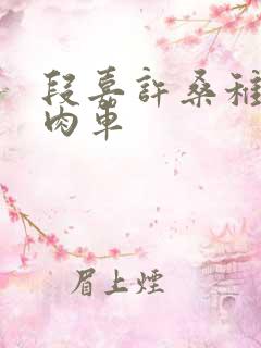 段嘉许桑稚浴室肉车