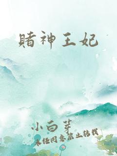 赌神王妃