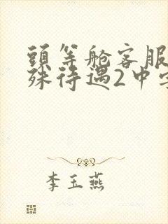 头等舱客服的特殊待遇2中字