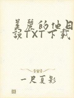 美丽的他日剧小说TXT下载