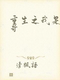 重生之我是大帅哥