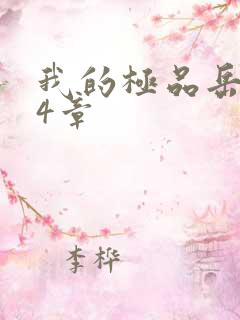 我的极品岳坶34章