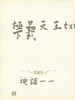 极品天王txt下载