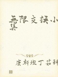 无限交换小说全集