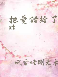 把爱错给了你txt