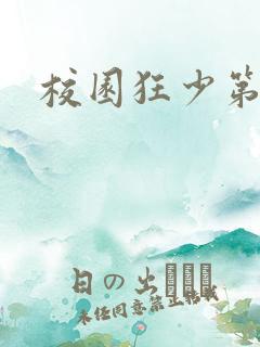 校园狂少第二部