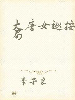 大唐女巡按大结局