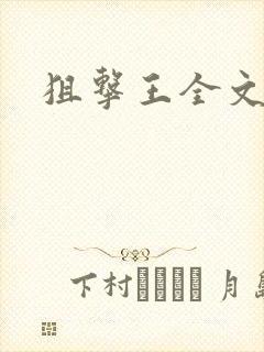 狙击王全文阅读