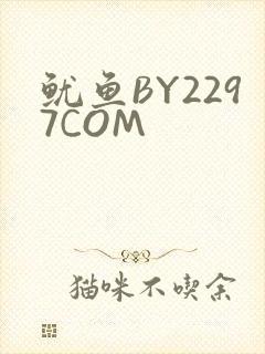 鱿鱼BY2297COM