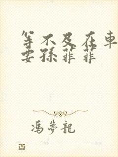 等不及在车里就要孙菲菲