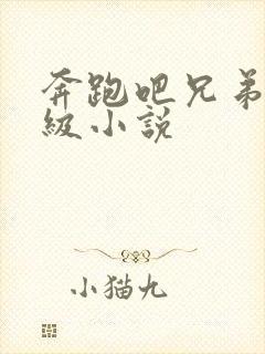 奔跑吧兄弟限制级小说