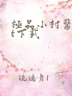 极品小村医txt下载