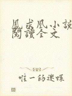 凤求凰小说免费阅读全文