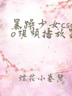 暴躁少女csgo视频播放器推荐