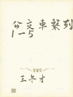 公交车系列合集1一5