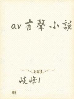 av有声小说