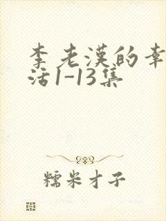 李老汉的幸福生活1-13集