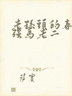 老孙头的春天马强马老二