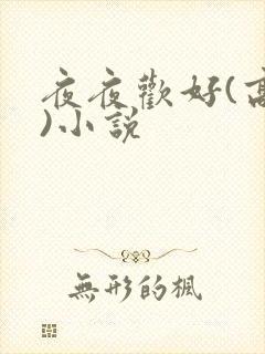 夜夜欢好(高h)小说