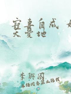 宠妻自成  婚天爱地