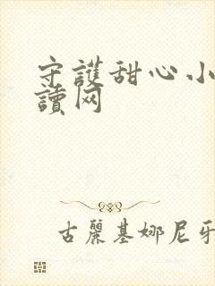 守护甜心小说阅读网
