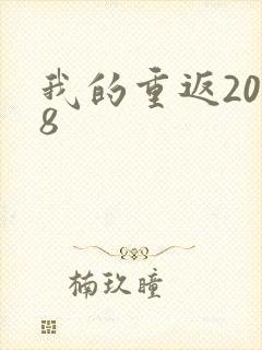 我的重返2008