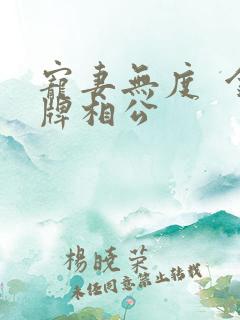 宠妻无度  金牌相公