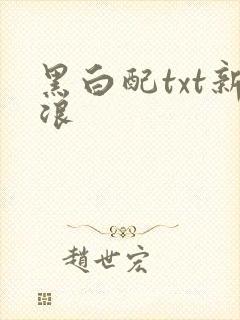 黑白配txt新浪