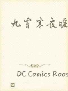 九霄寒夜暖小说