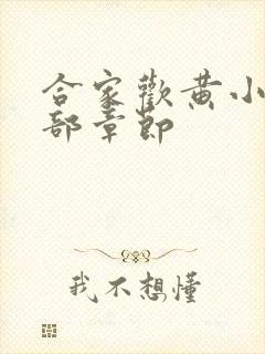 合家欢黄小梅全部章节