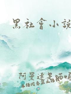 黑社会小说下载