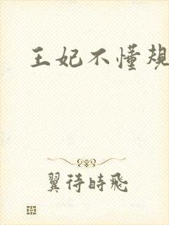 王妃不懂规矩