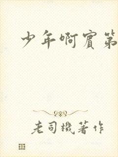 少年啊宾第二部