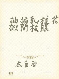 抽插乳校花老师掀开校服