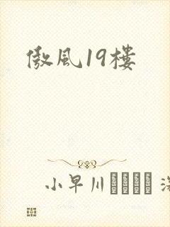 傲风19楼