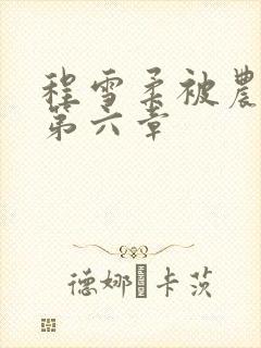 程雪柔被农民工第六章