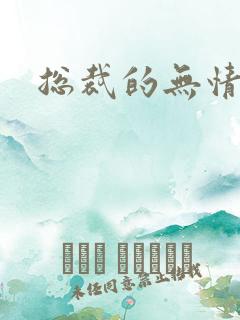 总裁的无情游戏