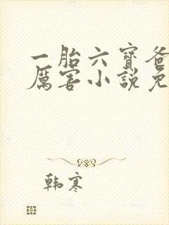 一胎六宝爸比好厉害小说免费阅读