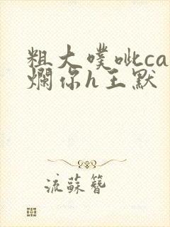 粗大噗呲cao烂你h王默