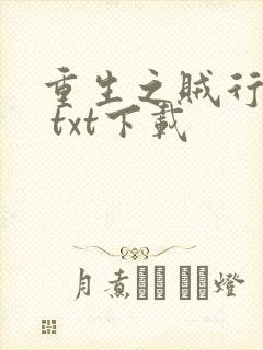 重生之贼行天下 txt下载