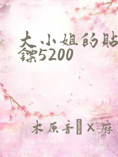 大小姐的贴身保镖5200