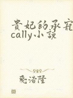 贵妃的承宠日常cally小说