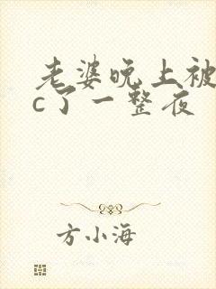 老婆晚上被躁狂c了一整夜