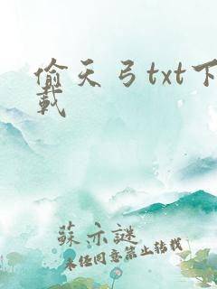 偷天弓txt下载